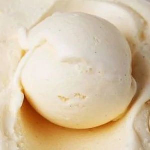 Scoop Vanilla
